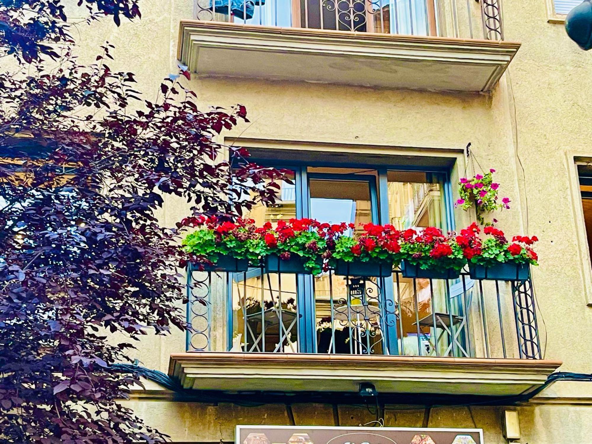 Cal Querol 1 - Centre Apartment Puigcerdà Exterior foto